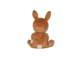 Dinky Dinkum Dolls - Bucky Bunny - Toffee - Ollie Ella