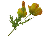 Poppy Garden - Yellow Petals / Black Green Centre