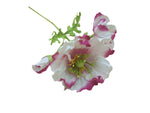 Poppy Garden - White, Pink Petals / Yellow, Green Centre