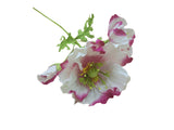 Poppy Garden - White, Pink Petals / Yellow, Green Centre