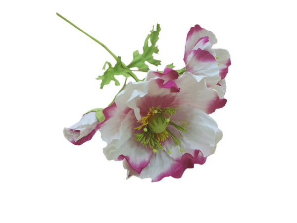 Poppy Garden - White, Pink Petals / Yellow, Green Centre