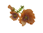Poppy Garden - Apricot Petals / Purple, Green Centre