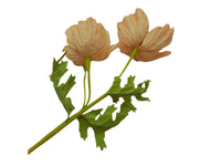 Poppy Garden - Apricot Petals / Purple, Green Centre