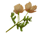 Poppy Garden - Apricot Petals / Purple, Green Centre
