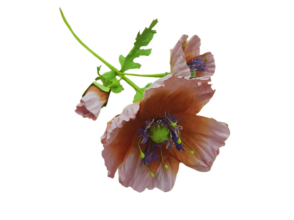 Poppy Garden - Orange, Pink Petals / Purple, Green Centre