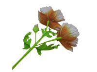 Poppy Garden - Orange, Pink Petals / Purple, Green Centre