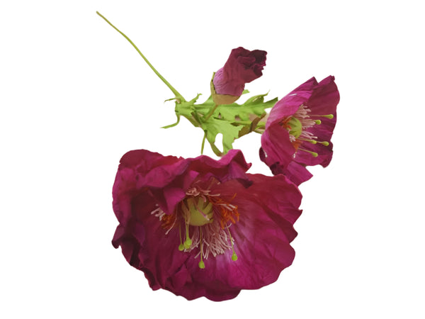 Poppy Garden - Pink, Crimson Petals / Orange, Pink, Green Centre