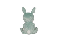 Dinky Dinkum Dolls - Biscuit Bunny - Mint - Olli Ella