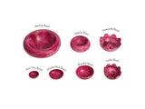 Ava Tiny Bowl - Crimson - Sage & Clare