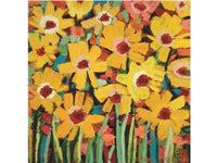 Jaya's Daisies Coasters - Set of 4 - Anna Blatman