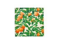 Napkins - Tangelo Multi - Set of 4 - Bonnie & Neil