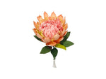 Paper Flower - King Protea - Apricot