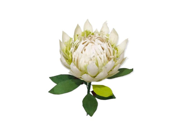 Paper Flower - King Protea - White