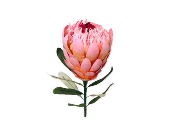 Paper Flower - Princess Protea - Pink
