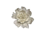 Paper Flower - Primrose - White