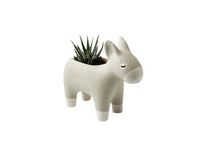 Douglas Donkey Planter - Jones & Co