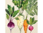 Paper Napkins - Root Vegetables - Pkt 20