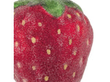 Sugared Strawberry Decoration - Large - Red