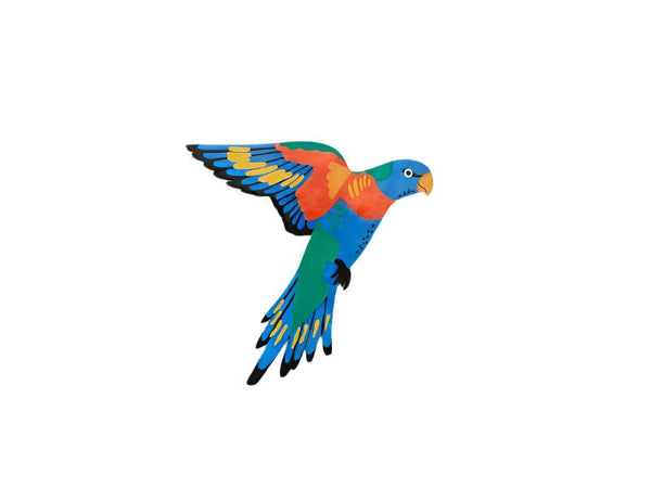 Aerial Lorikeet Wall Art - Jones & Co