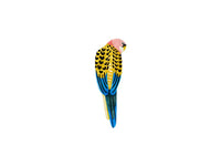 Aerial Yellow Rosella Wall Art - Jones & Co