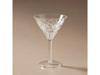 Flemington Acrylic Martini Glass - Clear