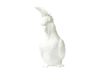 Money Box - Cockatoo - White - Jones & Co.