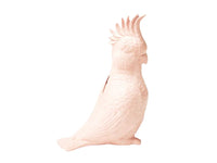 Money Box - Cockatoo - Pink - Jones & Co.