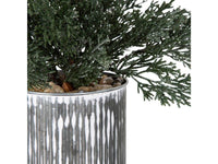 Potted Sparkle Mini Cedar Tree in Tin